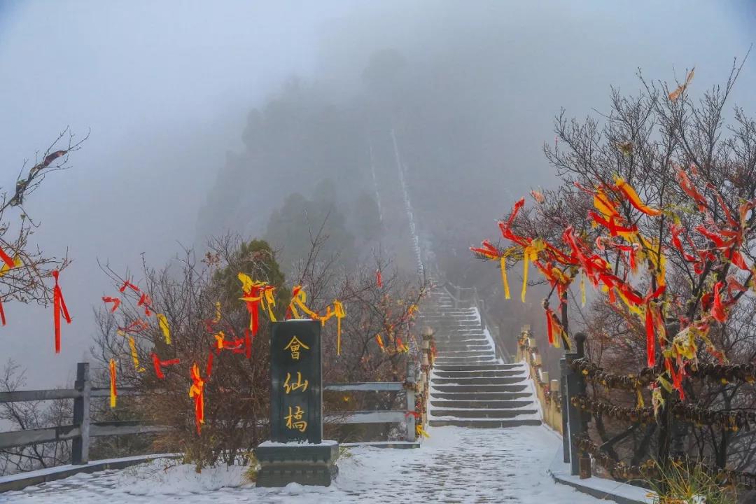 下大雪的茱萸峰美得不像话！