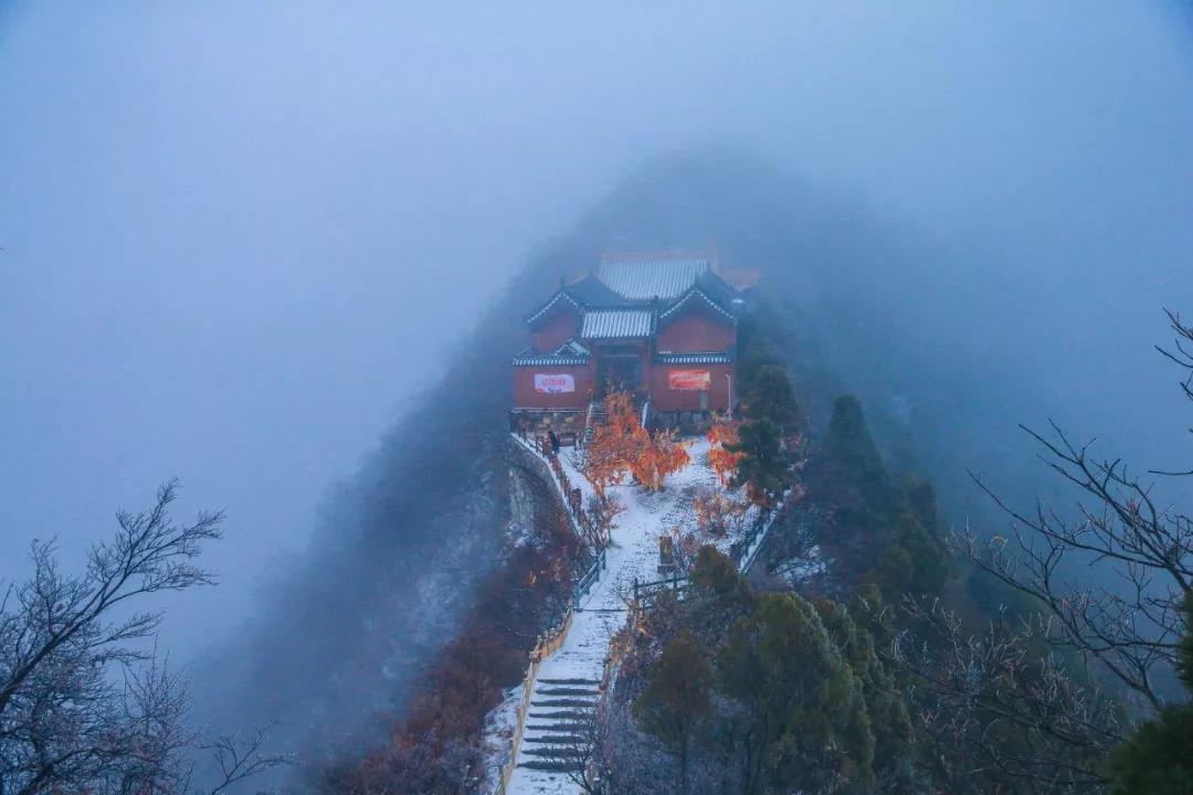 下大雪的茱萸峰美得不像话！
