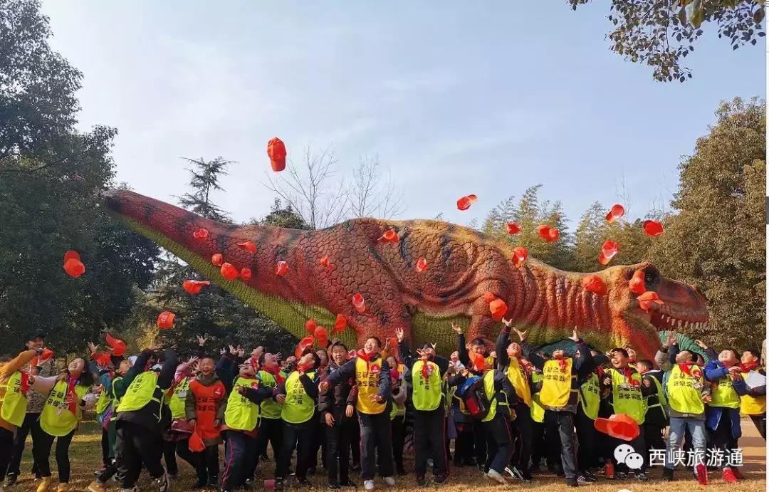 【盘点】2019西峡研学旅行大会硕果累累，你想知道的成果清单在这里！
