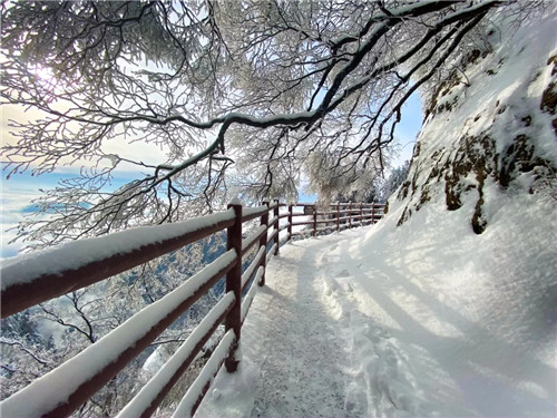 雪后的老君山美炸天，一大波雪景美图来袭！