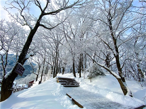 雪后的老君山美炸天，一大波雪景美图来袭！