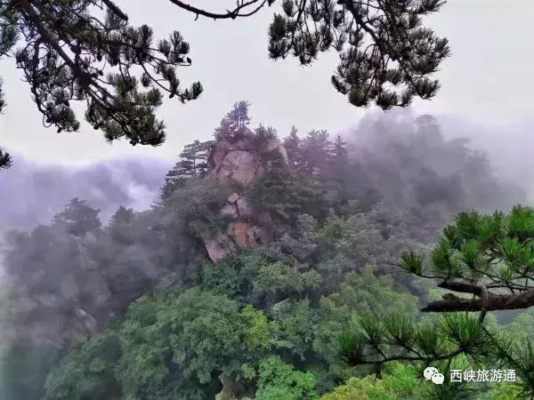 “美拍西峡”摄影大赛相机组奖项落下帷幕，获奖作品公示放榜啦！