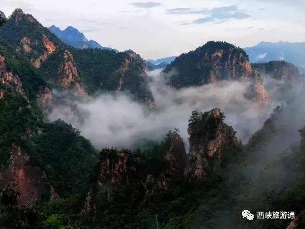 “美拍西峡”摄影大赛相机组奖项落下帷幕，获奖作品公示放榜啦！