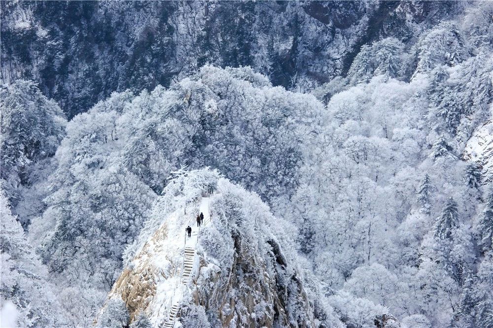 美不胜收！看雾淞观雪景，有雪有你这个冬天才完整