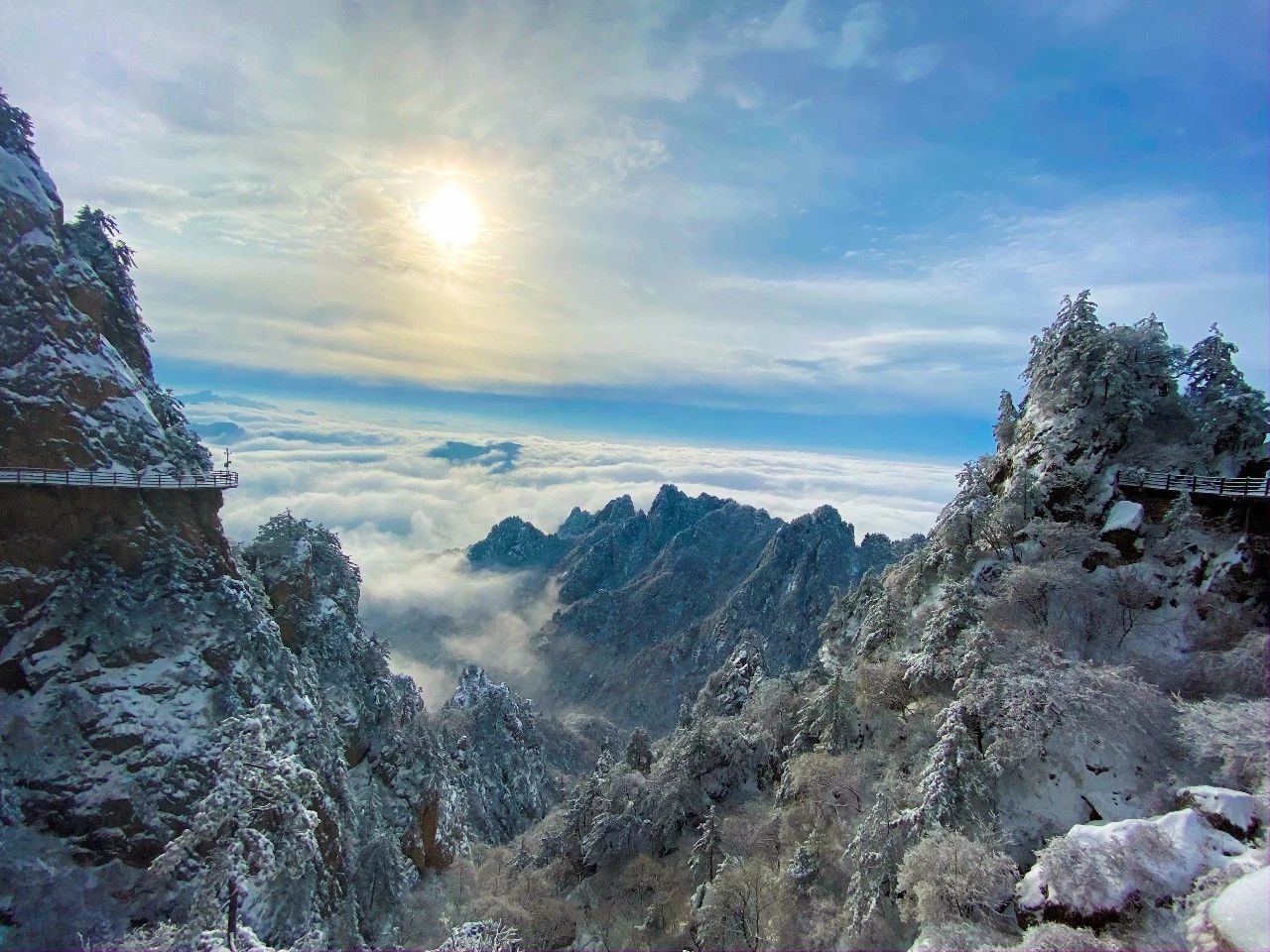 美不胜收！看雾淞观雪景，有雪有你这个冬天才完整