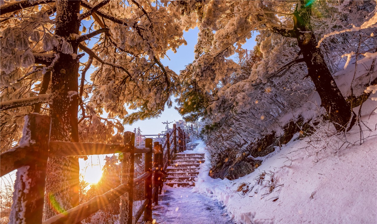 美不胜收！看雾淞观雪景，有雪有你这个冬天才完整