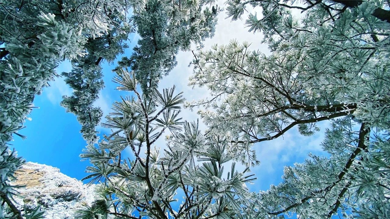 美不胜收！看雾淞观雪景，有雪有你这个冬天才完整