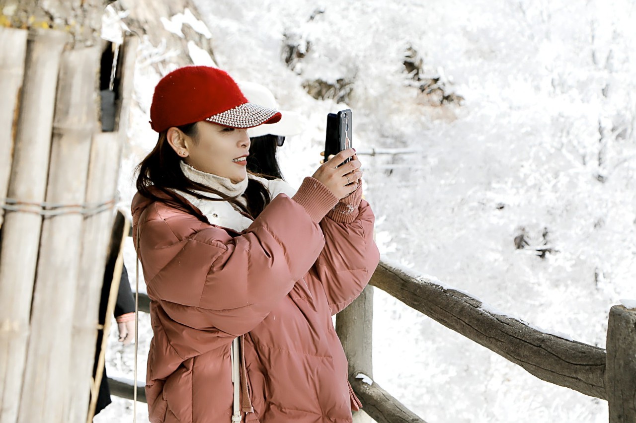 美不胜收！看雾淞观雪景，有雪有你这个冬天才完整