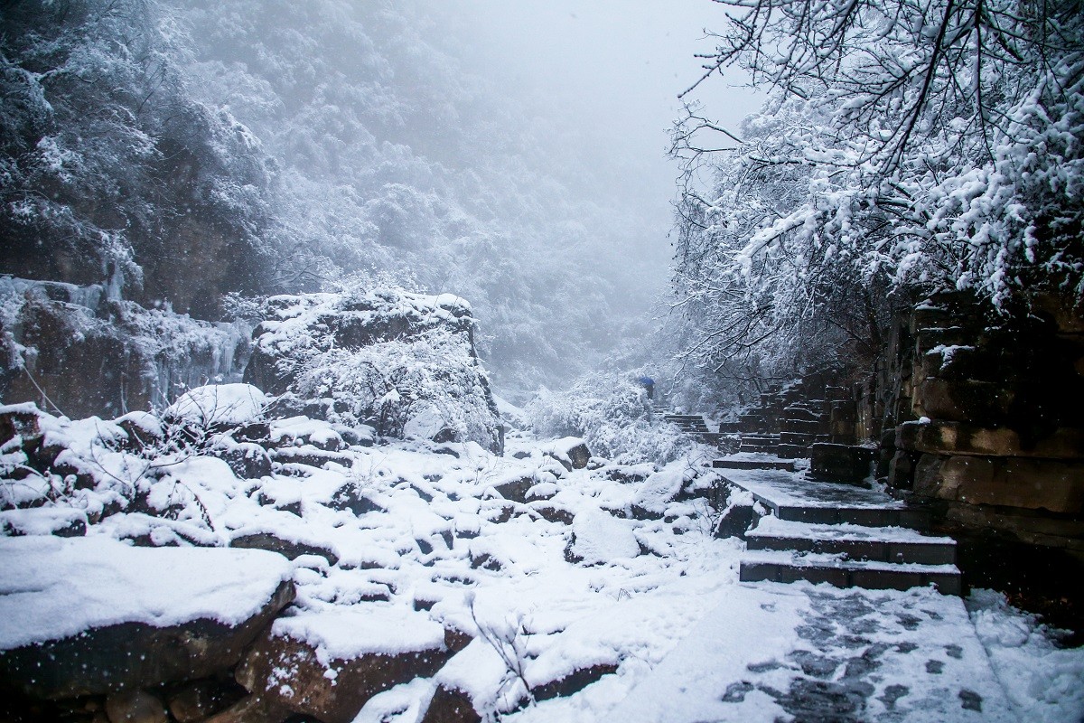 一场雪，让云台山变了个模样！简直美爆了！