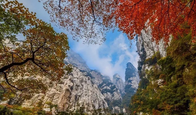 春光明媚大嵩山，带你线上云游！