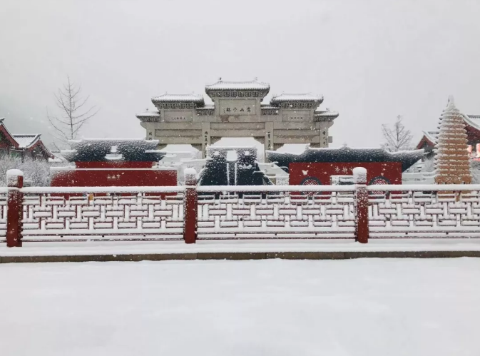 春光明媚大嵩山，带你线上云游！