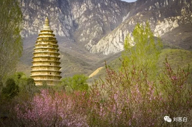 春光明媚大嵩山，带你线上云游！