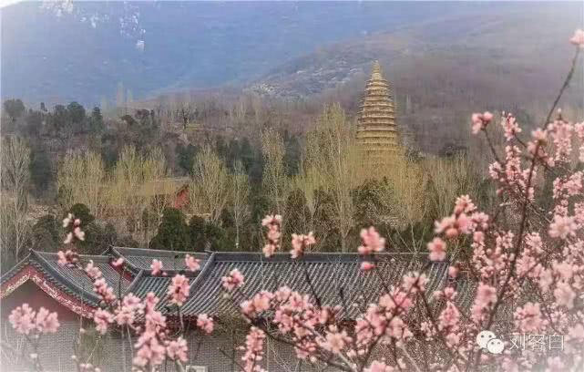 嵩山少林|等风雨经过 我们微笑相见