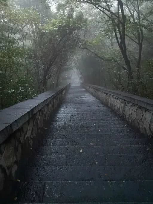 嵩山少林|等风雨经过 我们微笑相见