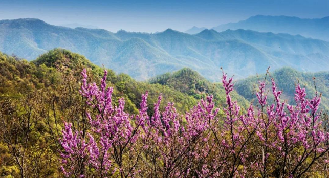 重渡沟“疫路”风景依然美，防疫把关迎客来