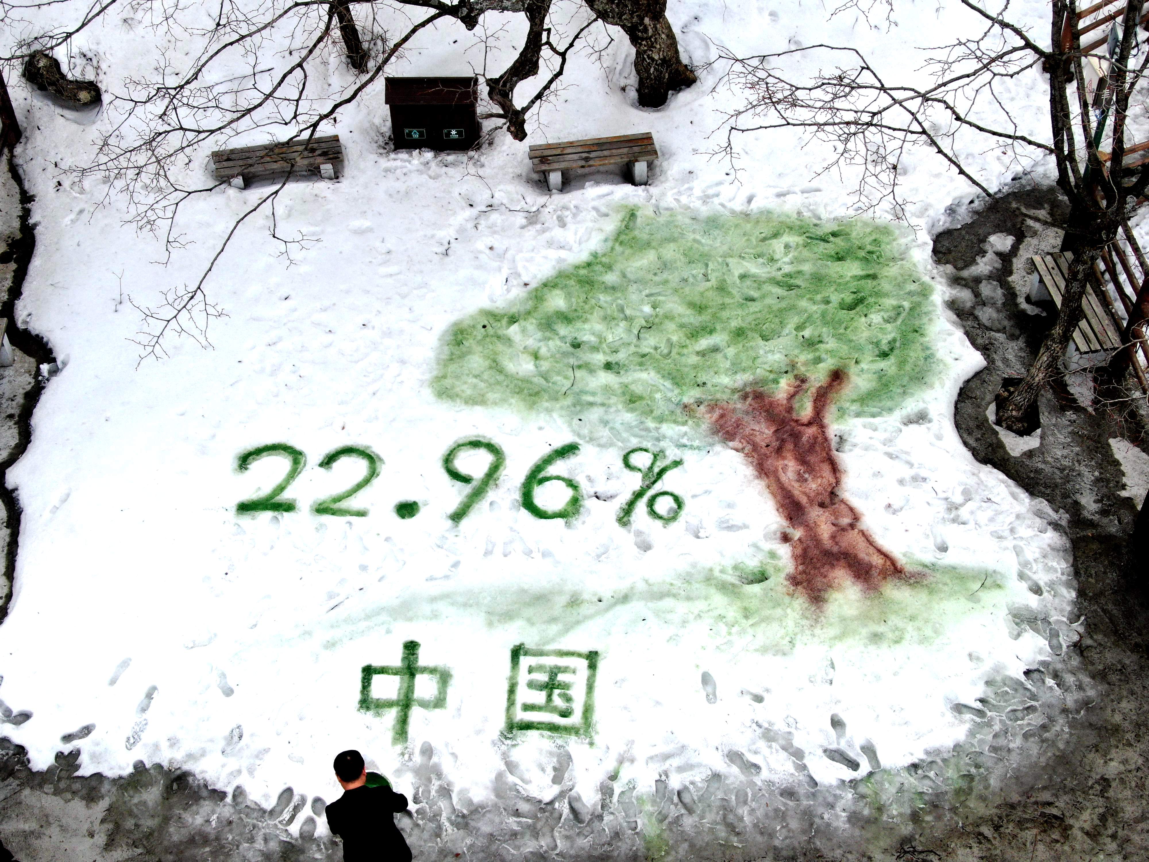 老君山|山间雪地作画纪念中国森林覆盖率达22.96%