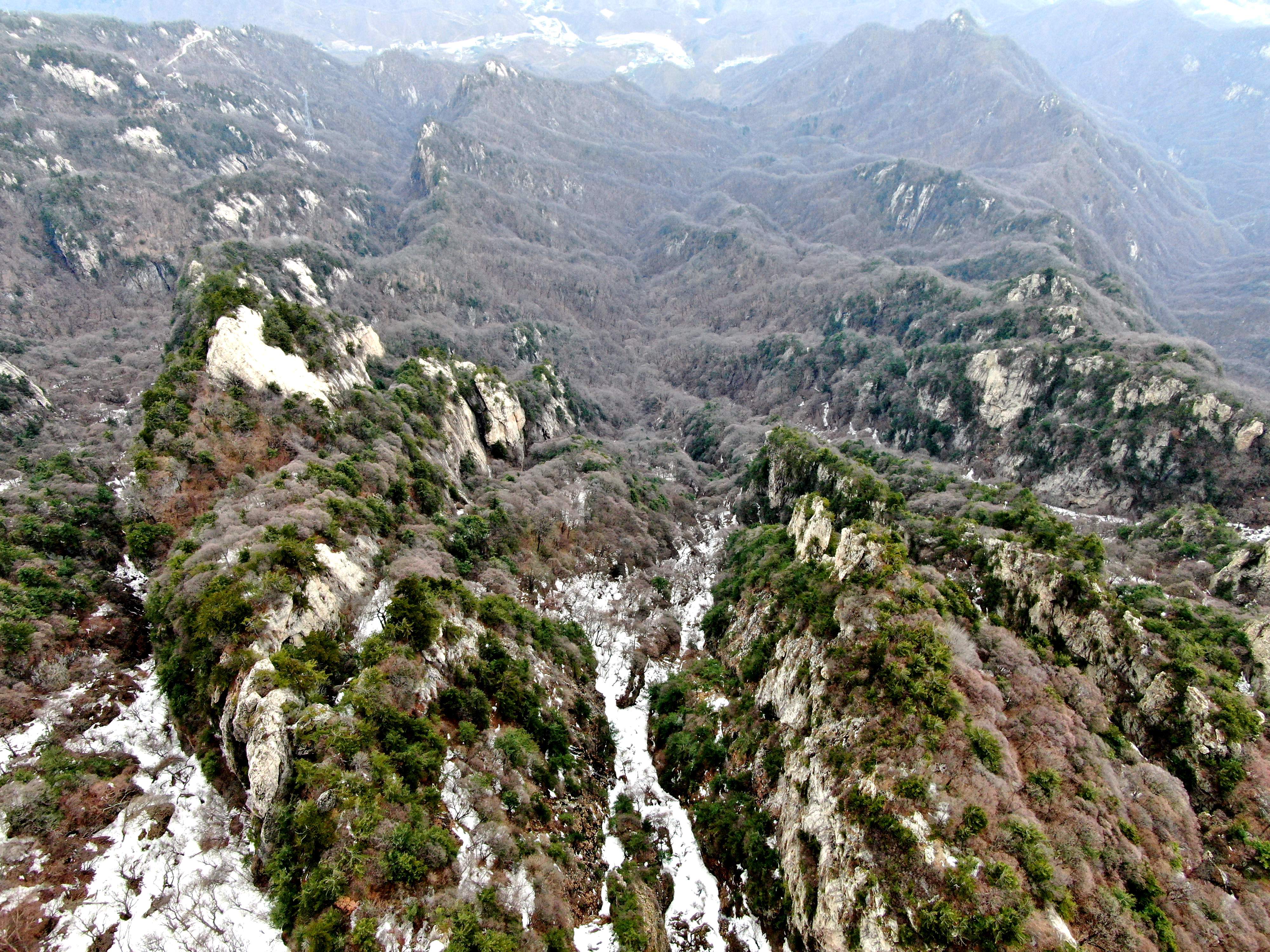 老君山|山间雪地作画纪念中国森林覆盖率达22.96%