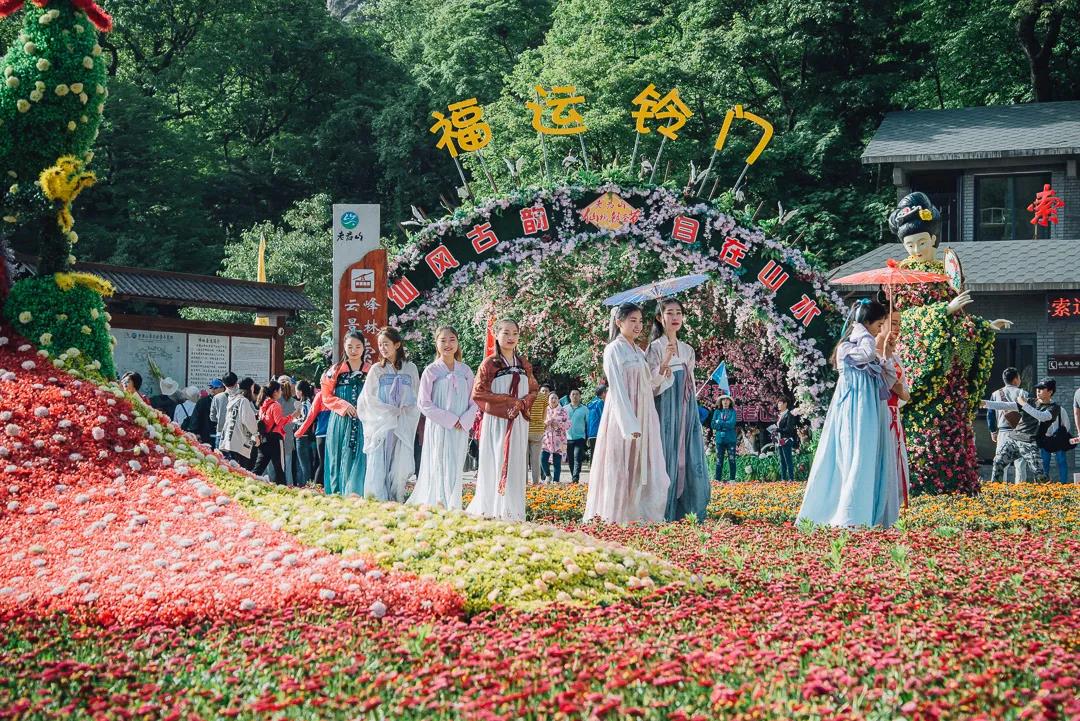 清明小长假，带你云旅游｜4月5日相约老君山抖音直播间