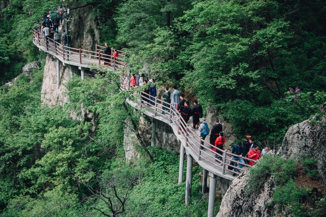 清明小长假，带你云旅游｜4月5日相约老君山抖音直播间