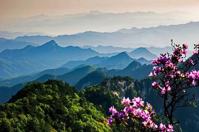 答应我，这个春天一定要来一次白云山