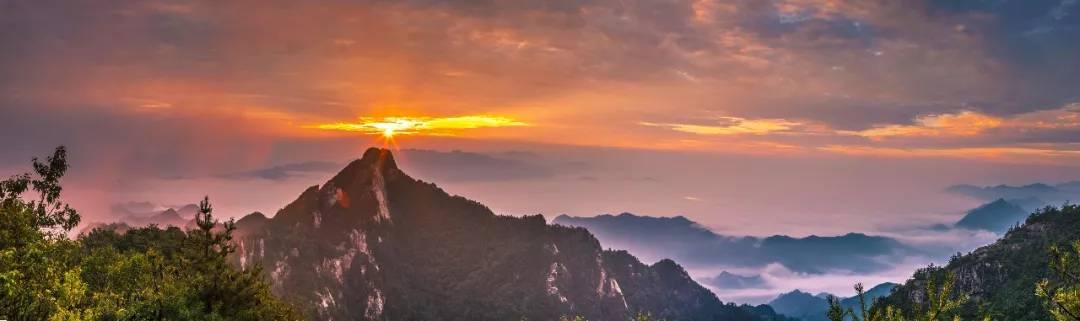 答应我，这个春天一定要来一次白云山