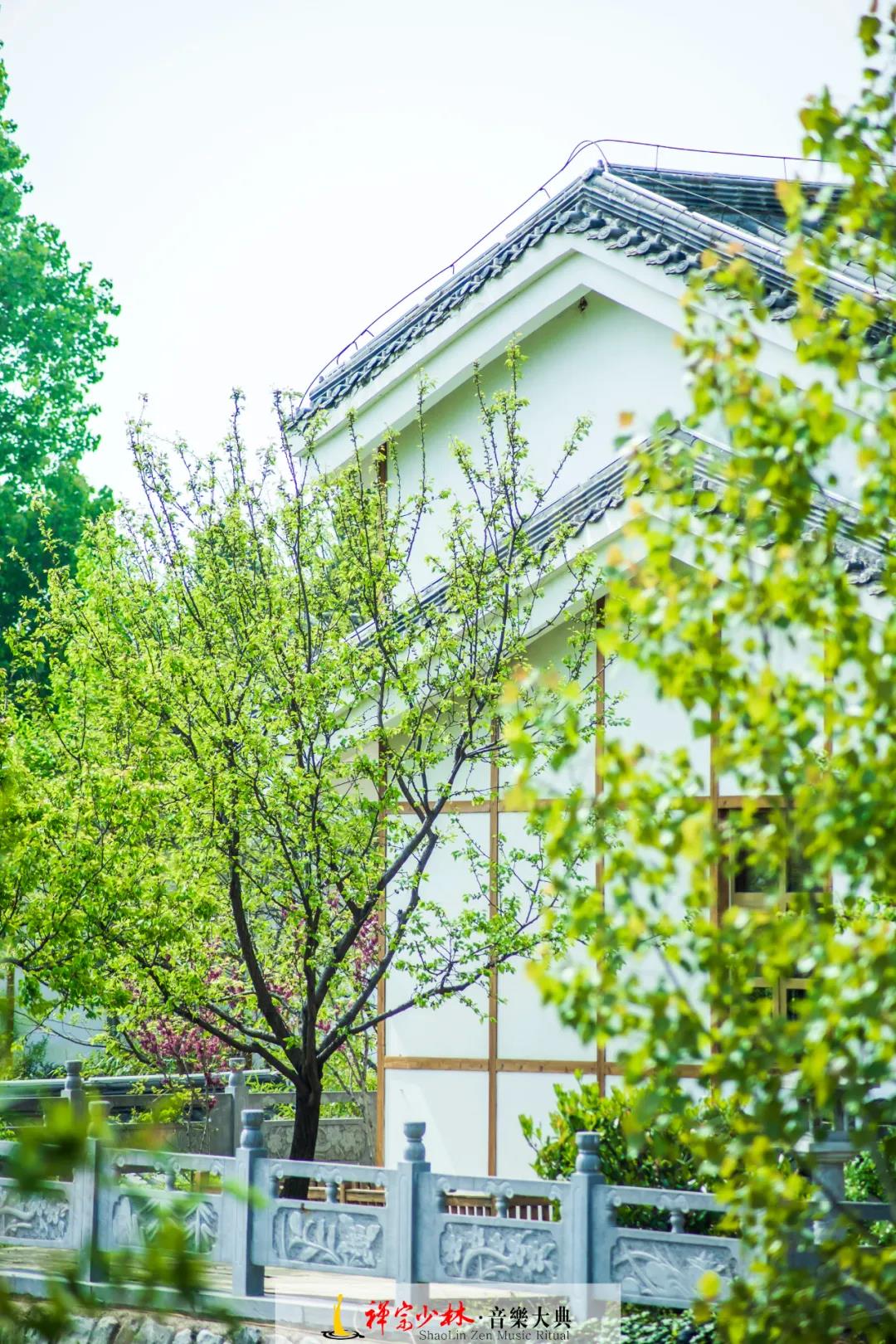 人间最美四月天，不负春光好待仙！