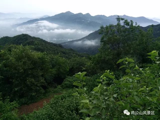 五一来鸡公山，畅享舒心、快乐假期！