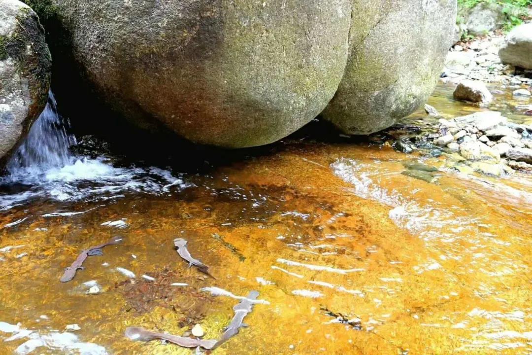 哪凉快那儿待着去—天河大峡谷