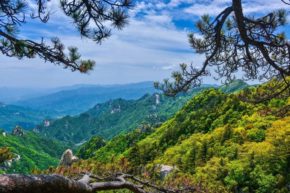 清凉尧山 | 撒欢吧，少年！