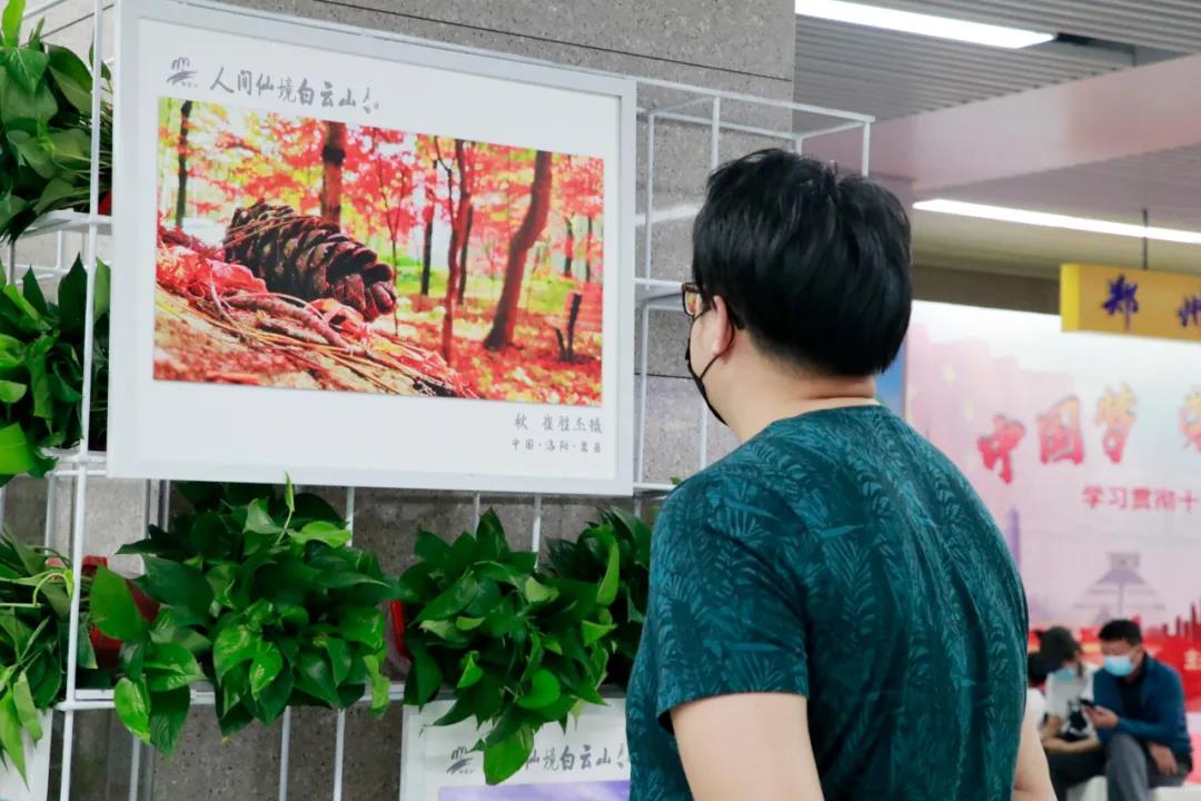 “守护绿色 佑护健康”洛阳白云山生态摄影大展启动仪式在郑州举办