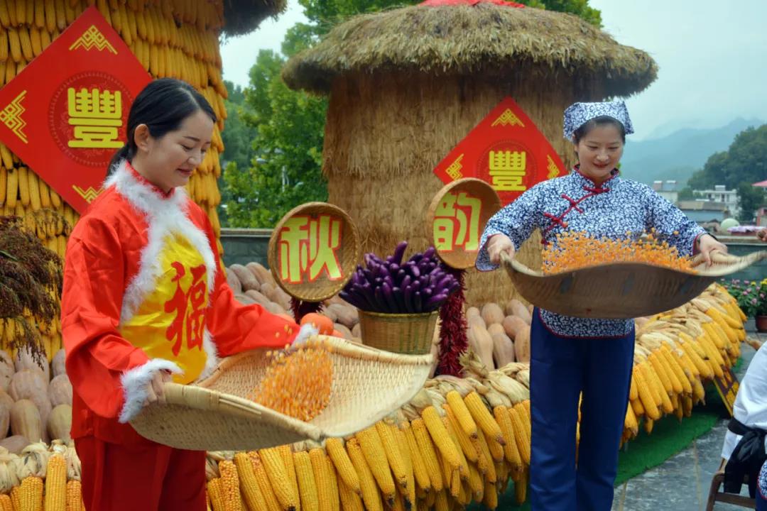 秋分至，话丰年！鸡冠洞里看“丰”景