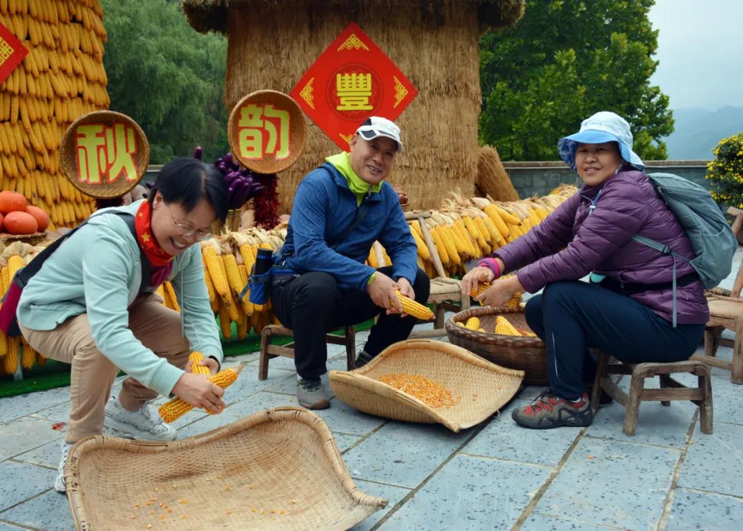 秋分至,话丰年!鸡冠洞里看“丰”景 秋分至,话丰年!鸡冠洞里看“丰”景