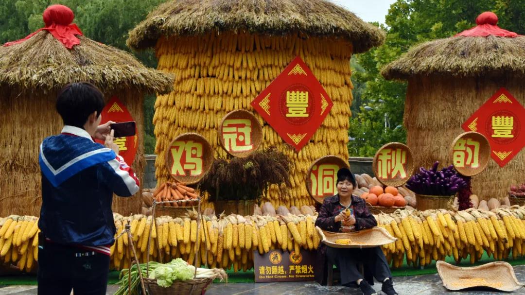 秋分至,话丰年!鸡冠洞里看“丰”景 秋分至,话丰年!鸡冠洞里看“丰”景