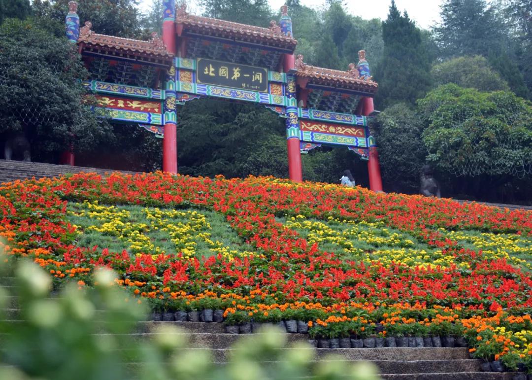 秋分至，话丰年！鸡冠洞里看“丰”景