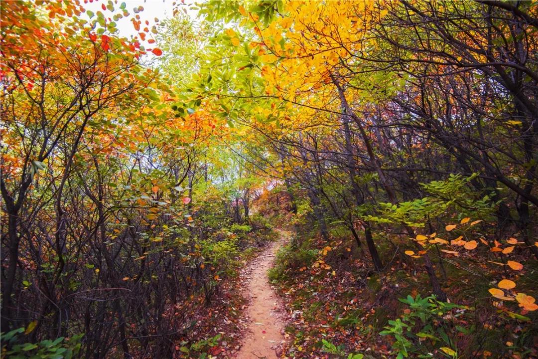 与秋色渲染的嵩山,来一次最美好的相遇 与秋色渲染的嵩山,来一次最美好的相遇