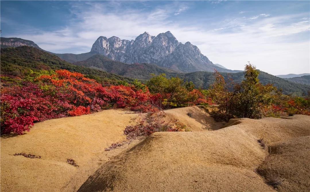 与秋色渲染的嵩山,来一次最美好的相遇 与秋色渲染的嵩山,来一次最美好的相遇