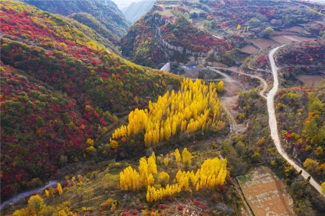 与秋色渲染的嵩山，来一次最美好的相遇