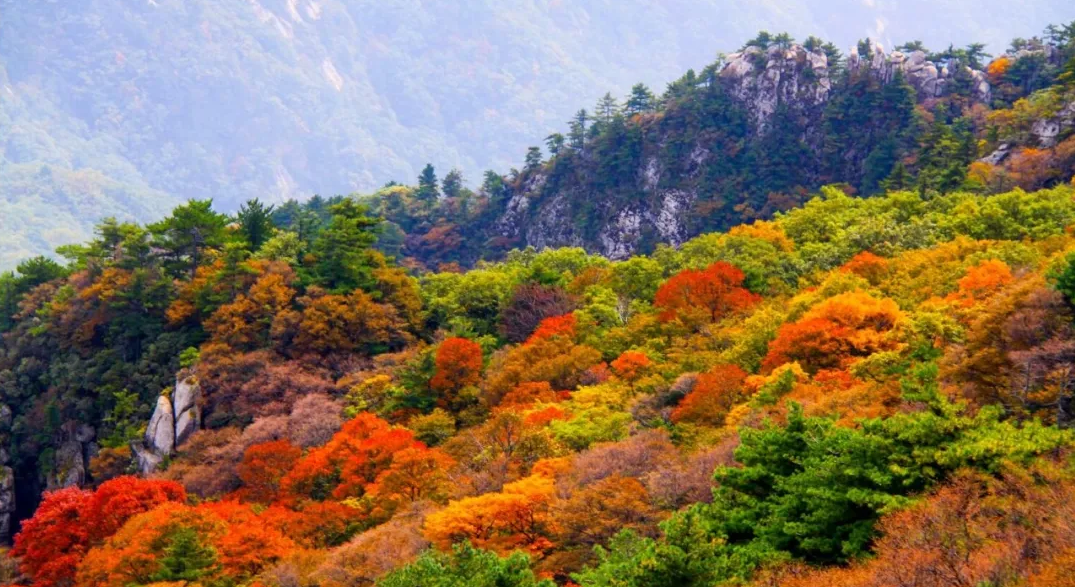 中国风景名胜区协会年度会议定在尧山温泉旅游度假区召开