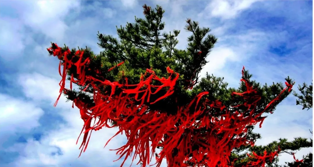 中国风景名胜区协会年度会议定在尧山温泉旅游度假区召开