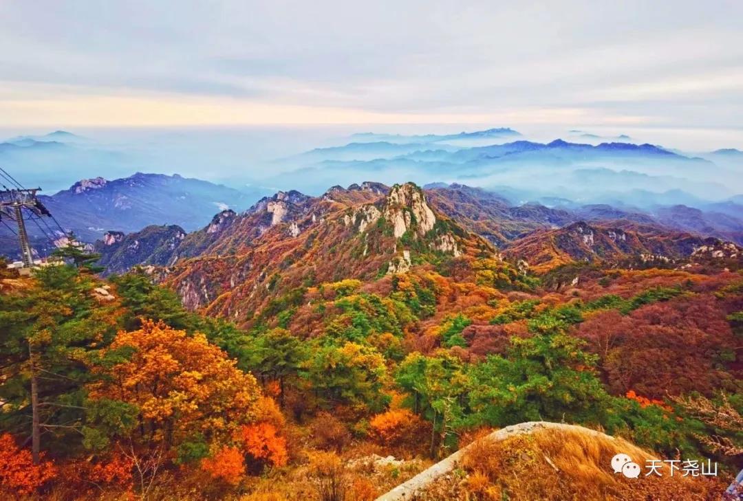 平顶山市第十届（尧山）醉美红叶节丰盈启幕