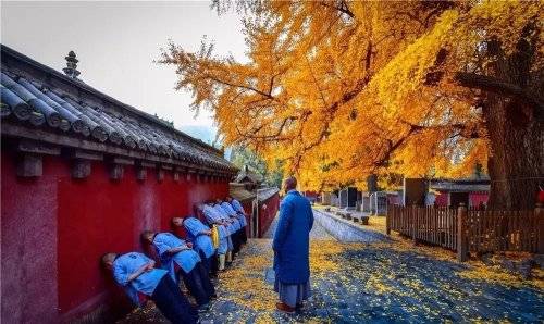 嵩山少林一年中最美的时节