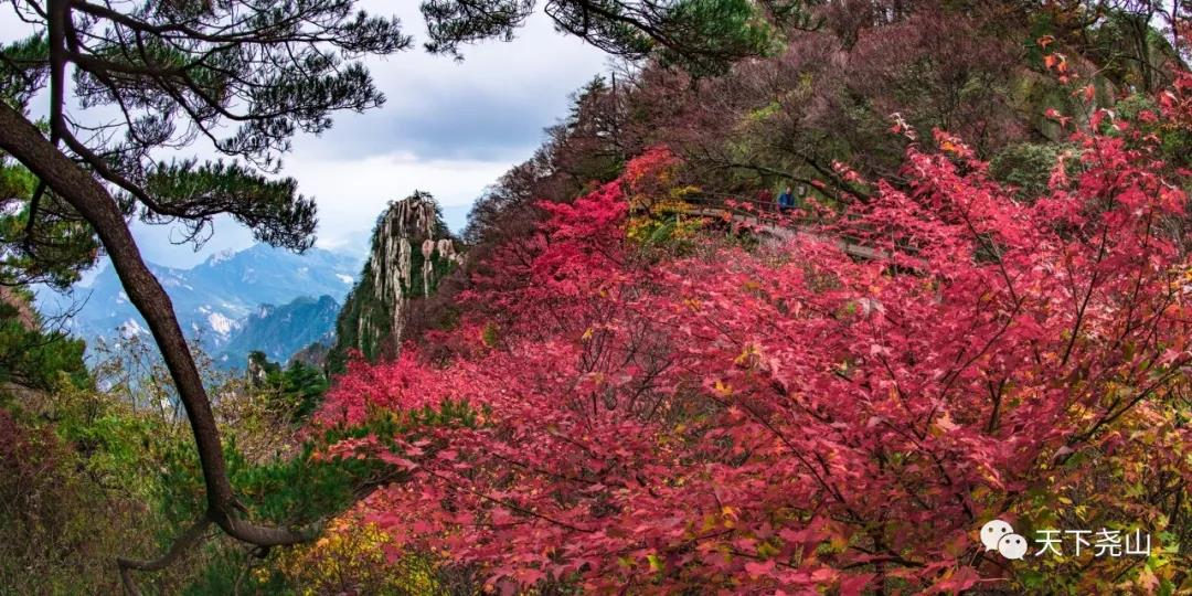 尧山秋韵 尧山秋韵