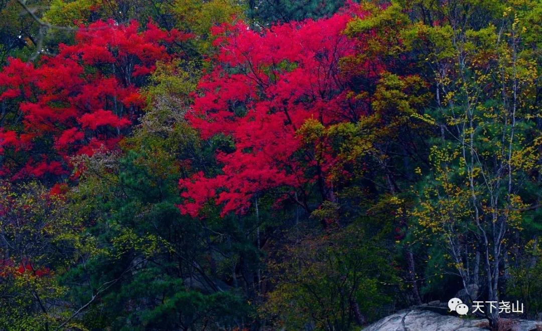 尧山秋韵