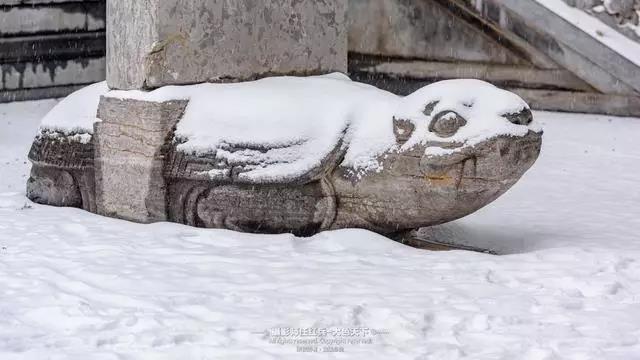 瑞雪启祥 1500年的嵩山少林寺初雪如约而至！