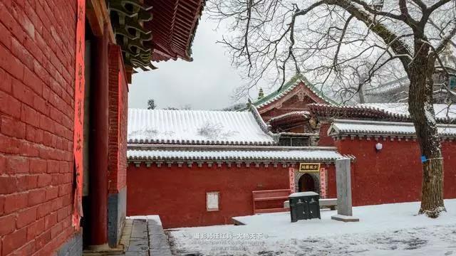 瑞雪启祥 1500年的嵩山少林寺初雪如约而至！