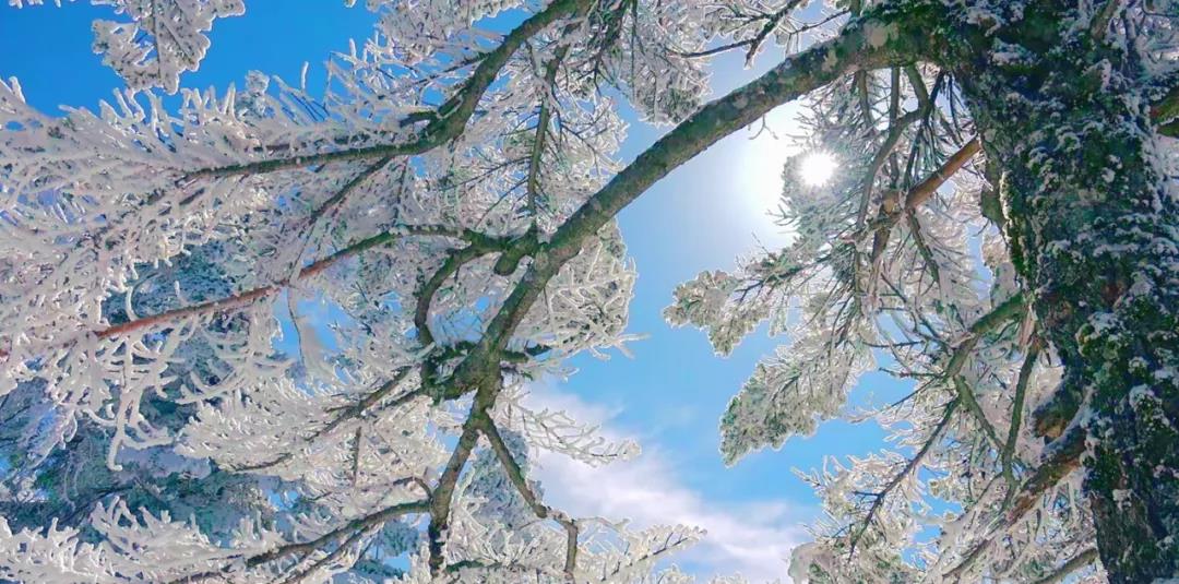 这个冬天，从天河大峡谷12月的第一场雪开始！