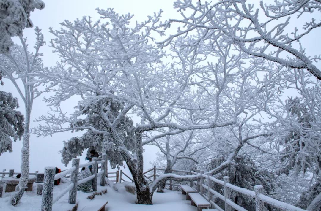 这个冬天，从天河大峡谷12月的第一场雪开始！