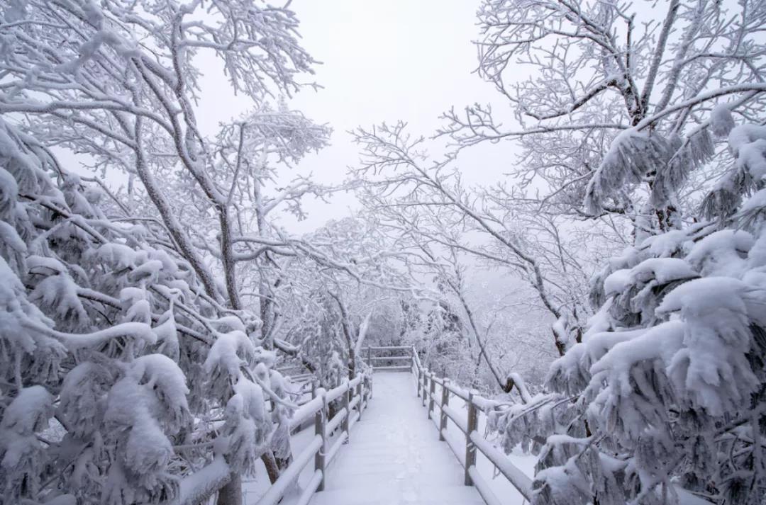 这个冬天，从天河大峡谷12月的第一场雪开始！