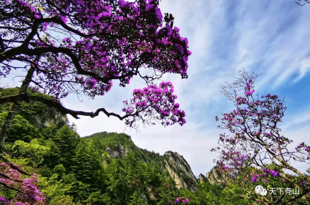 “潮趣端午，擎动尧山” 尧山潮燃端午即将来袭！