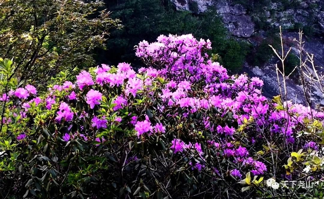 尧山旅游日，全民游尧山